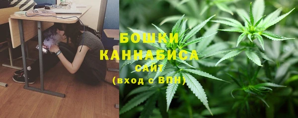 дмт Сосновоборск