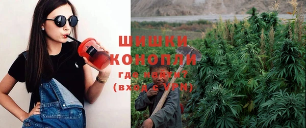 дурь Сосновка
